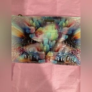 Brahmin Daisy in prism